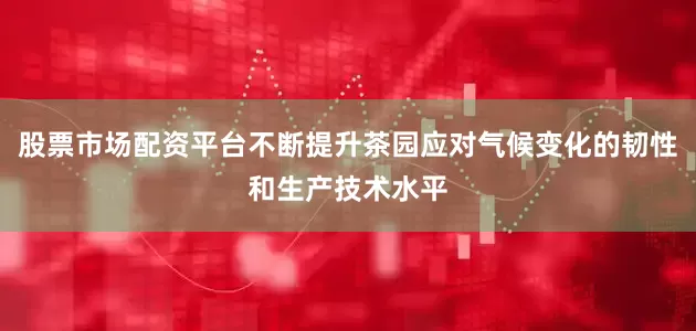 股票市场配资平台不断提升茶园应对气候变化的韧性和生产技术水平