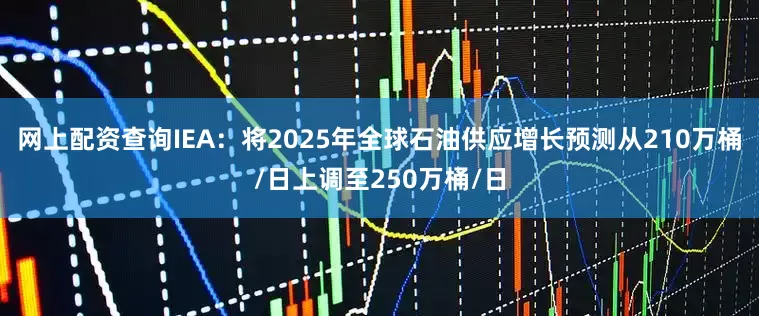 网上配资查询IEA：将2025年全球石油供应增长预测从210万桶/日上调至250万桶/日