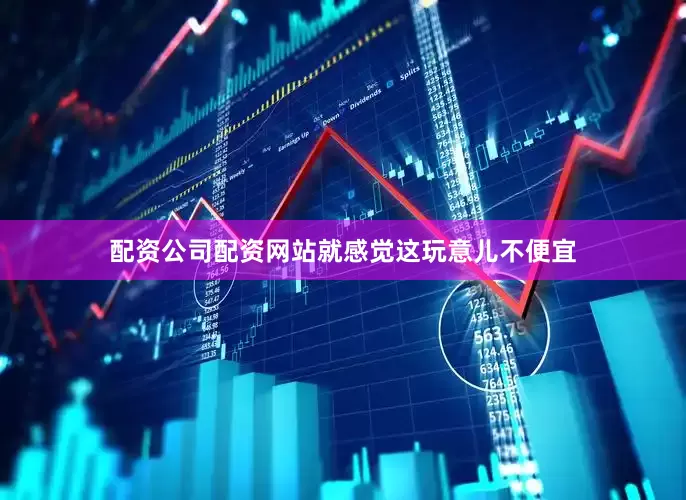 配资公司配资网站就感觉这玩意儿不便宜